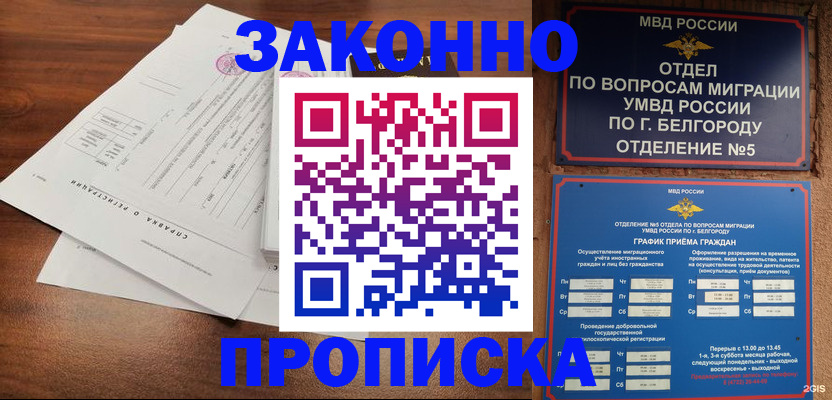 прописка в Истре